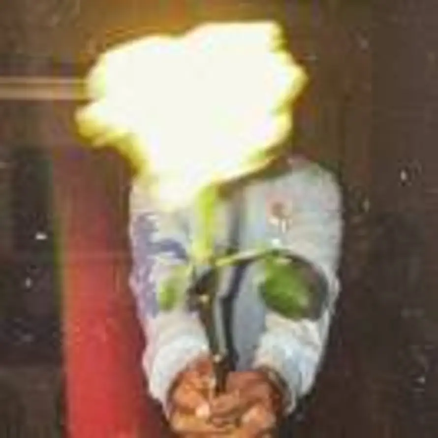 吃面不吃蒜的头像