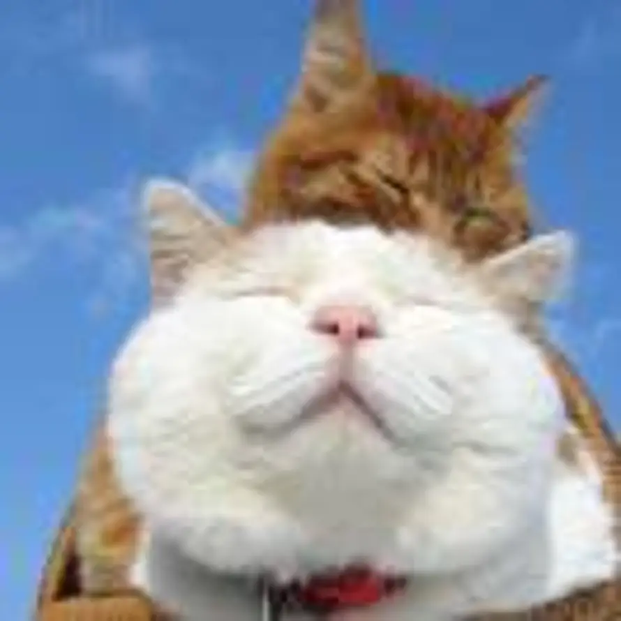 天空白蓝色的头像