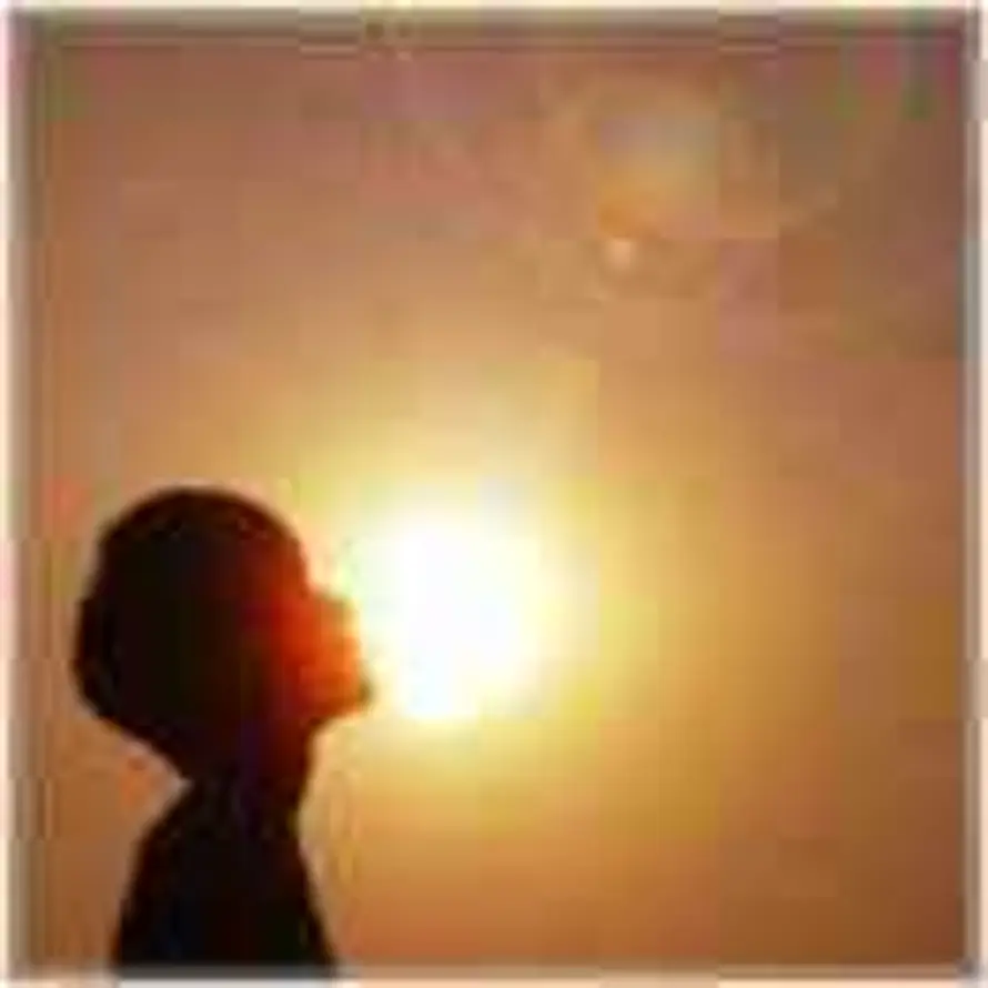 秋风带走的一片落叶的头像