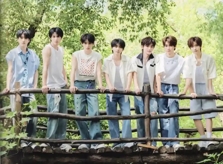 4k夏日壁纸 - 户外 - 树林 - 清新「哲风壁纸」