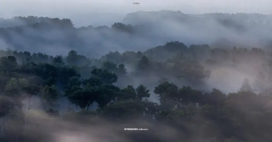 4k大气壁纸 - 宁静 - 层林 - 山峦「哲风壁纸」