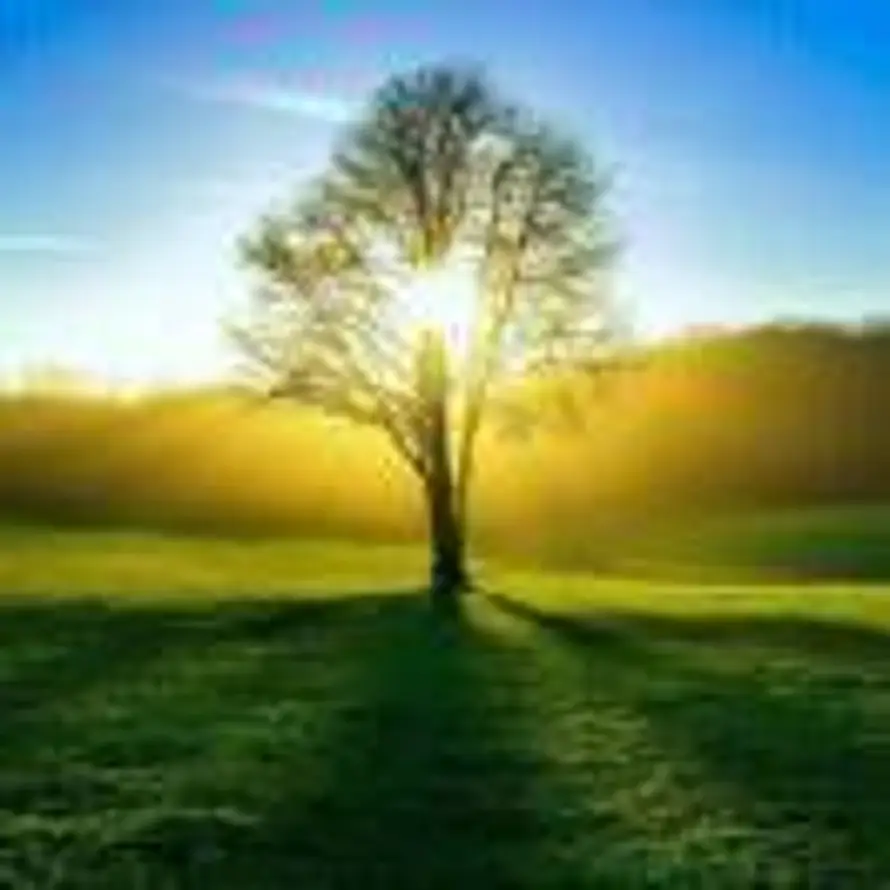 用户浪迹天涯的头像