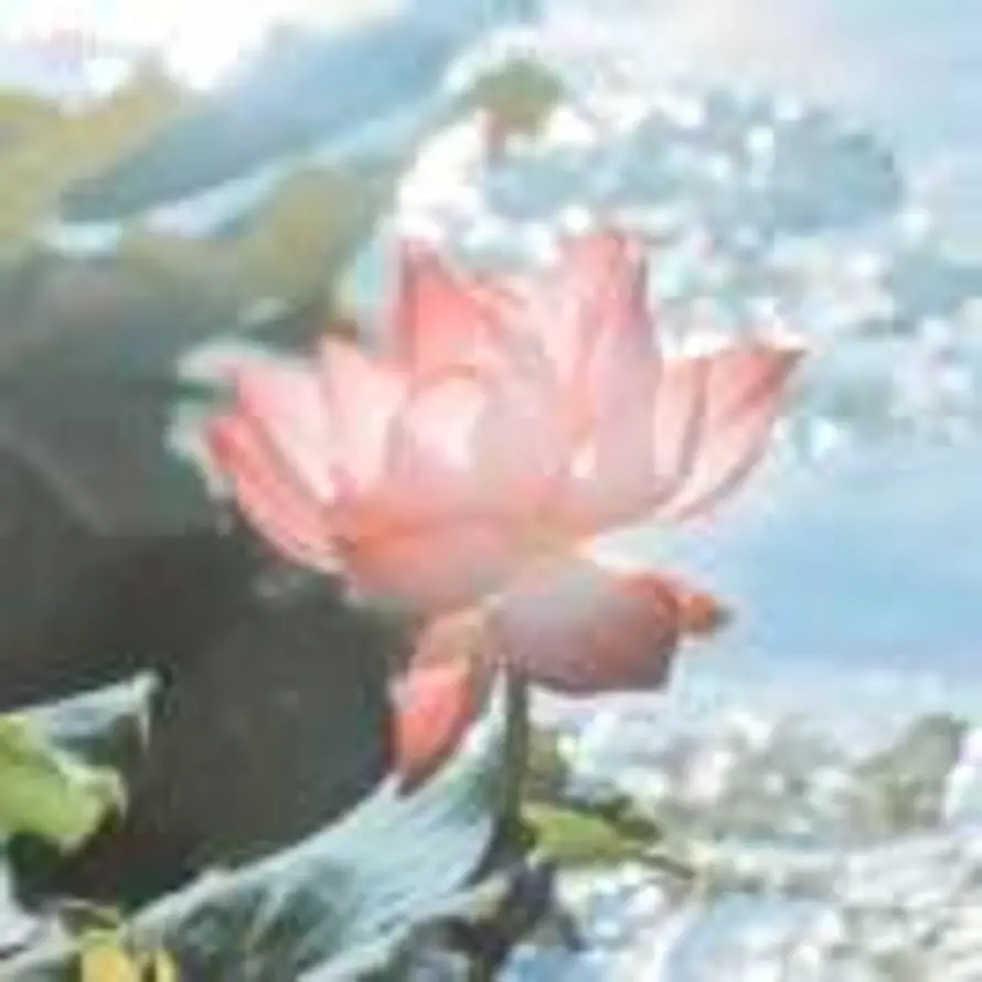 花开富贵的头像