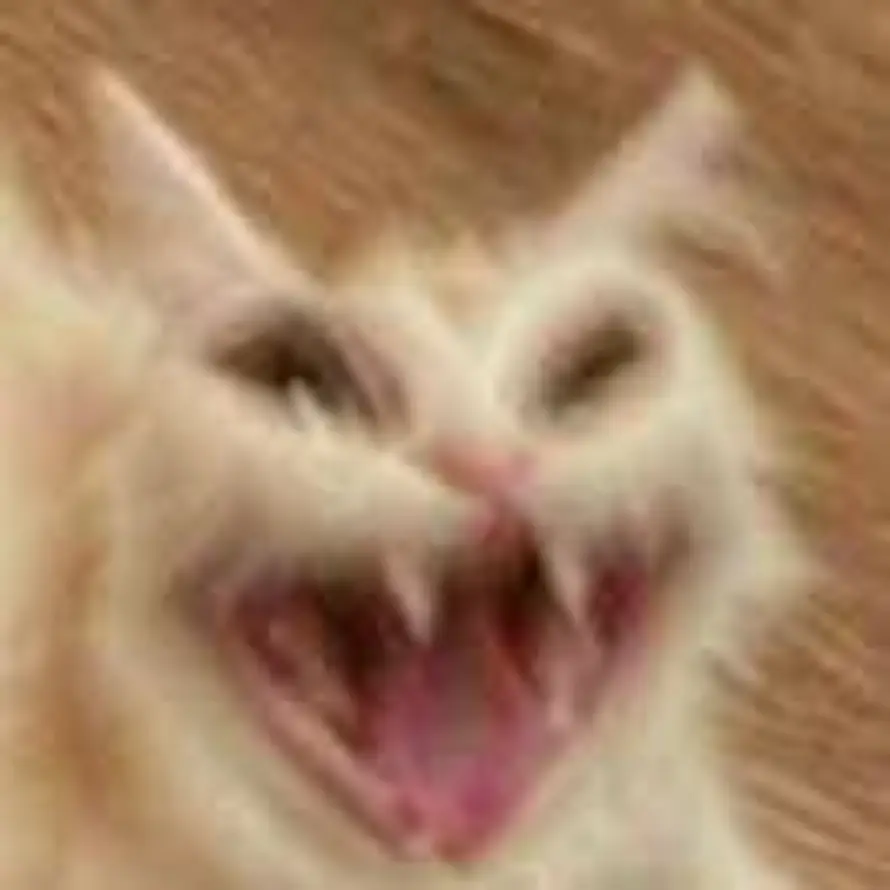 午夜偷吃老冰棍的头像