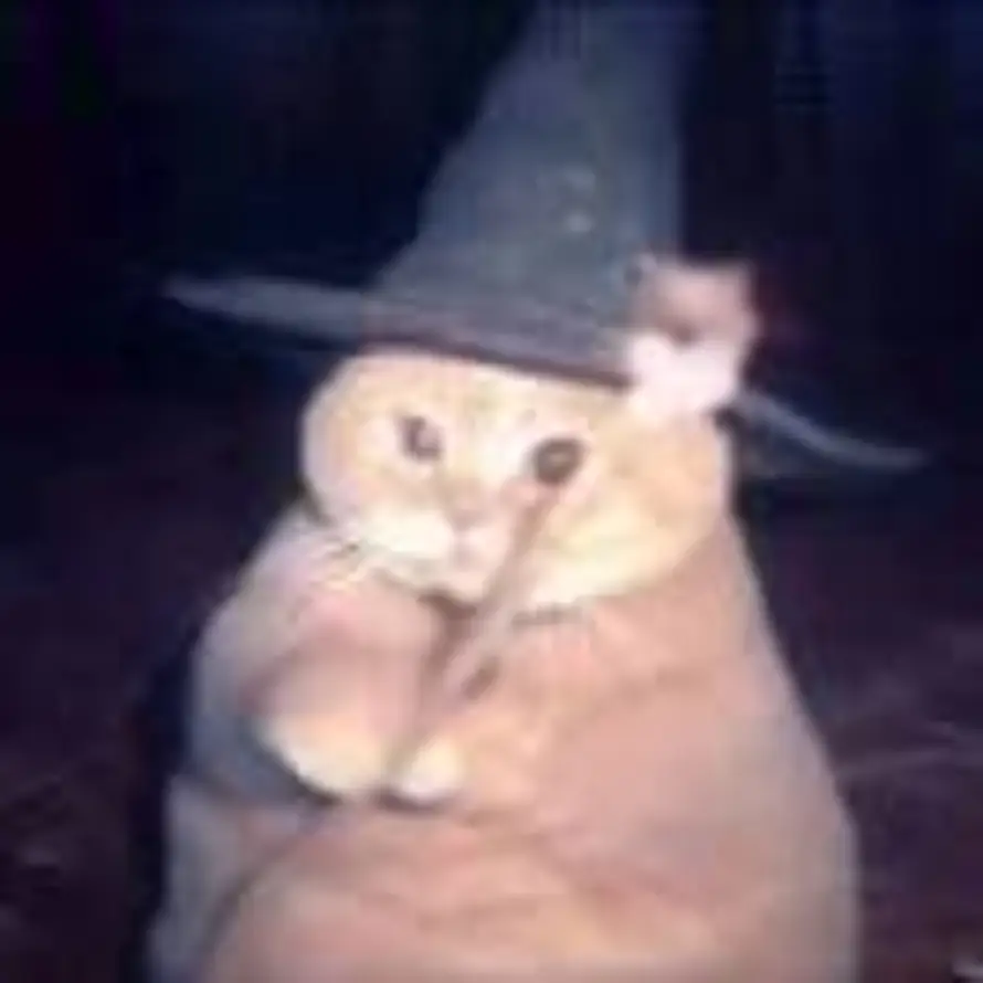 木然白月的头像