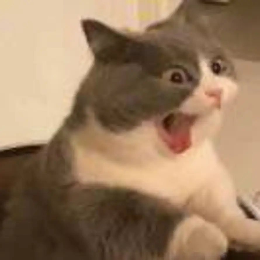 派大星的罗格的头像