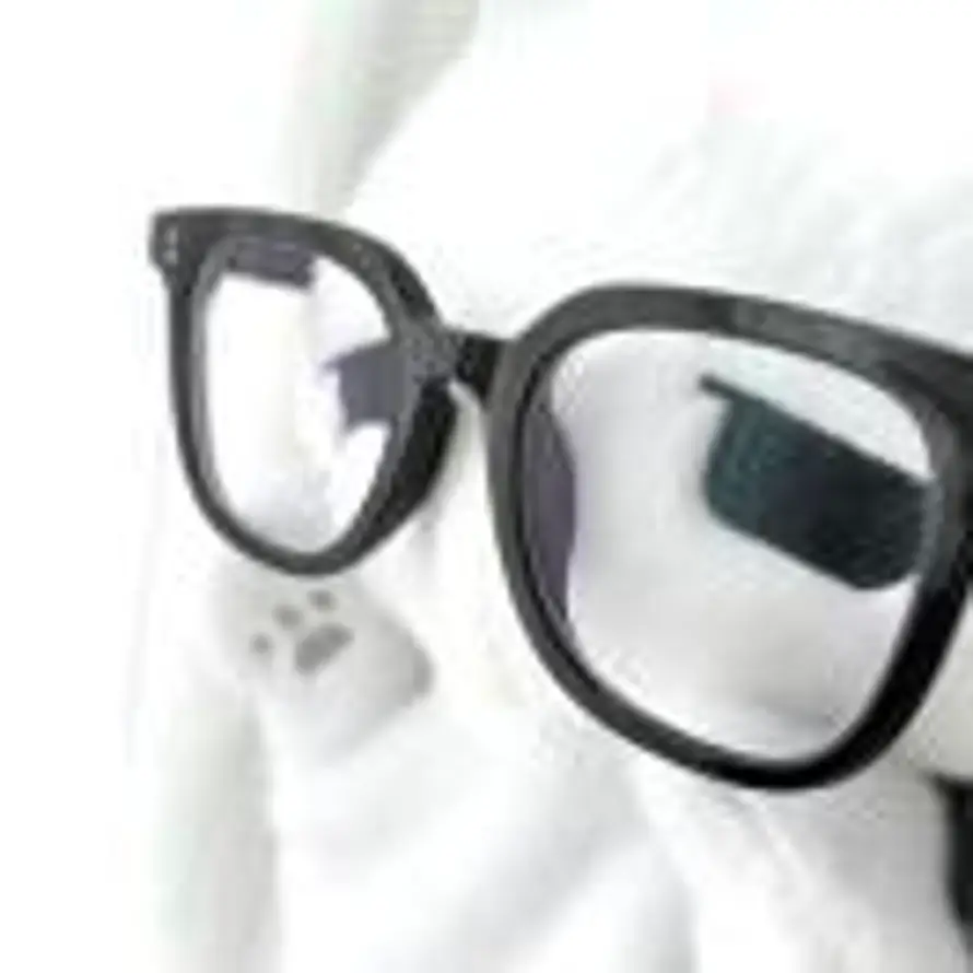 🌽（拒单删）的头像