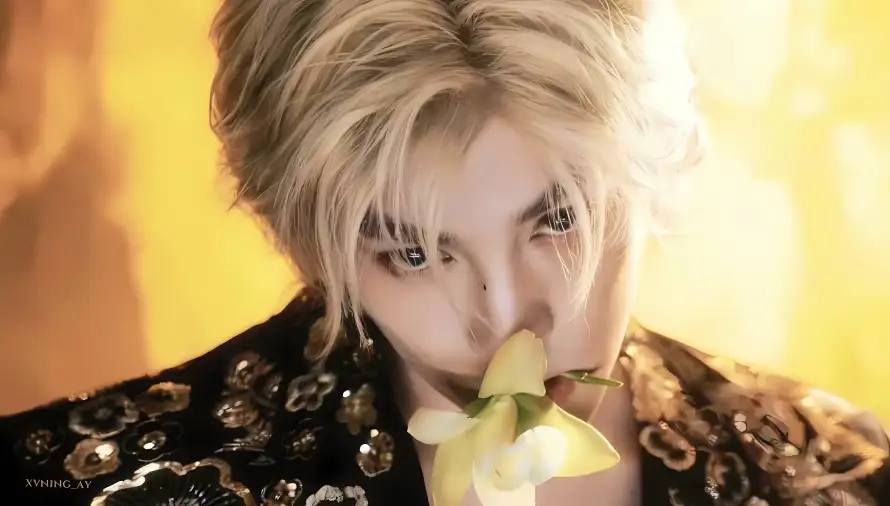 4k暖光壁纸 - 花朵 - 金发 - 田栩宁「哲风壁纸」 4k暖光壁纸 - 花朵 - 金发 - 田栩宁「哲风壁纸」