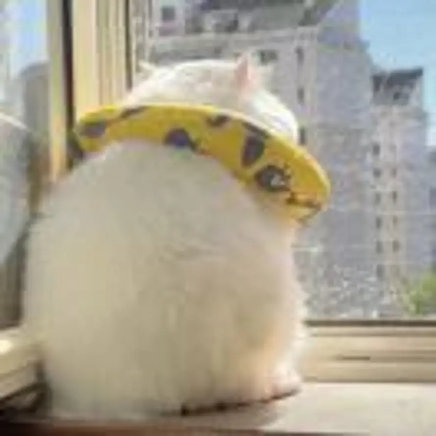 深夜诗人的头像