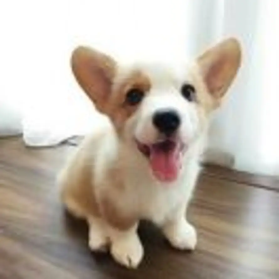 竹杖，山水间的头像