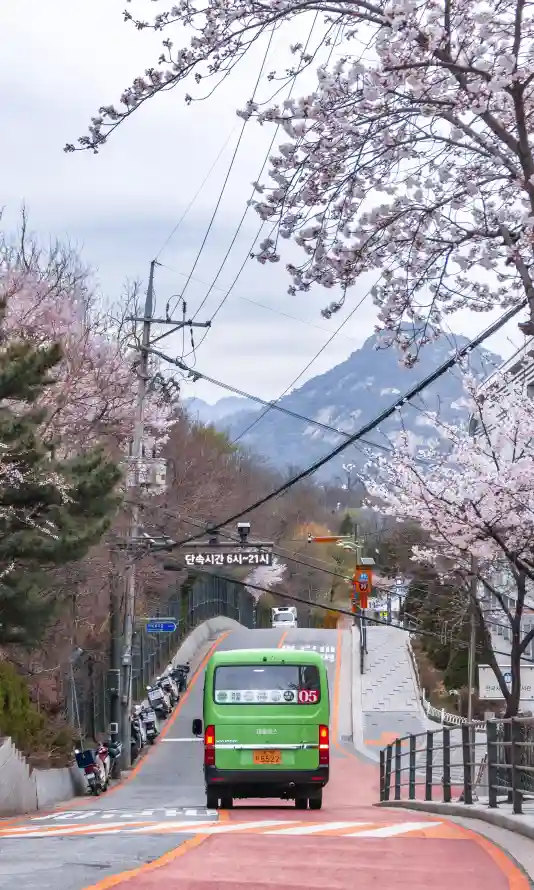 4k山脉壁纸 - 巴士 - 春天 - 春日「哲风壁纸」