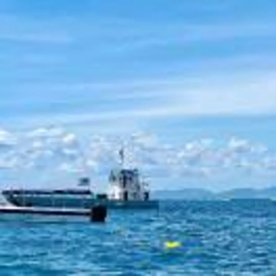 12班班主任黄老师的头像