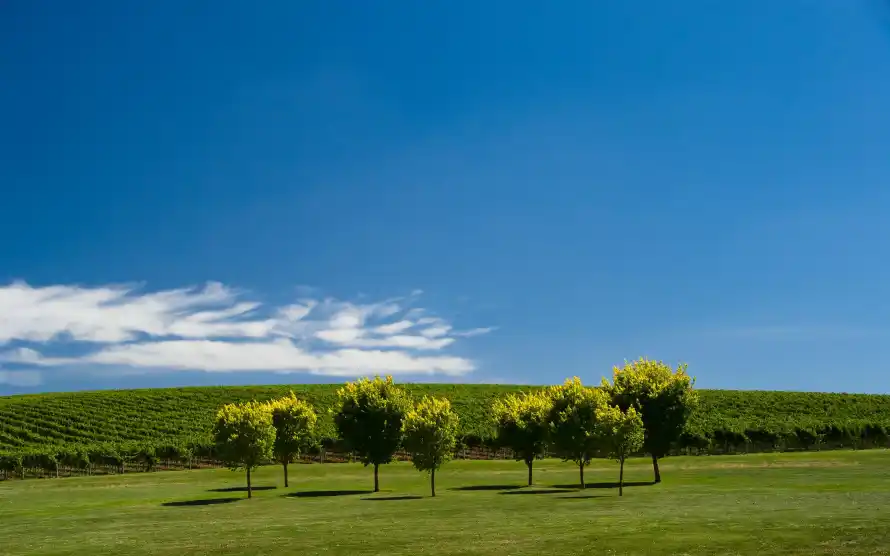 4k壁纸壁纸 - 开阔 - 户外 - 晴朗「哲风壁纸」