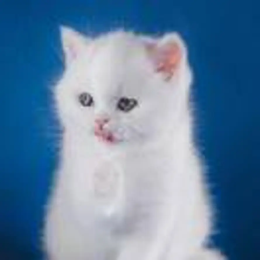 绿水染清风的头像