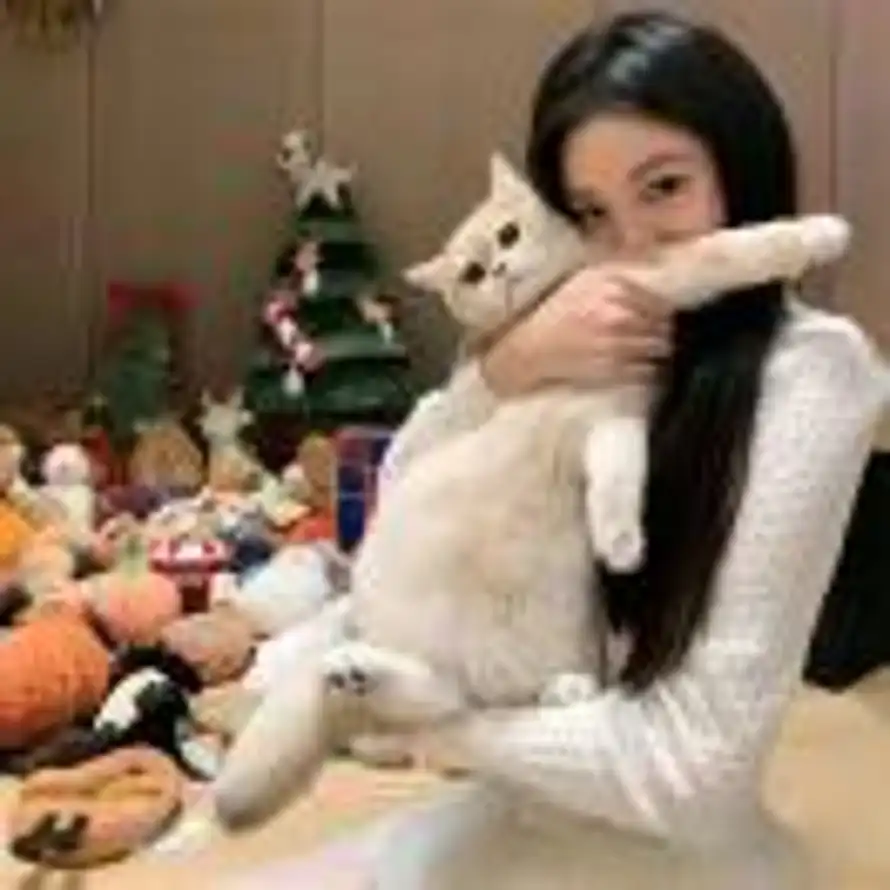 玫瑰荔枝的头像