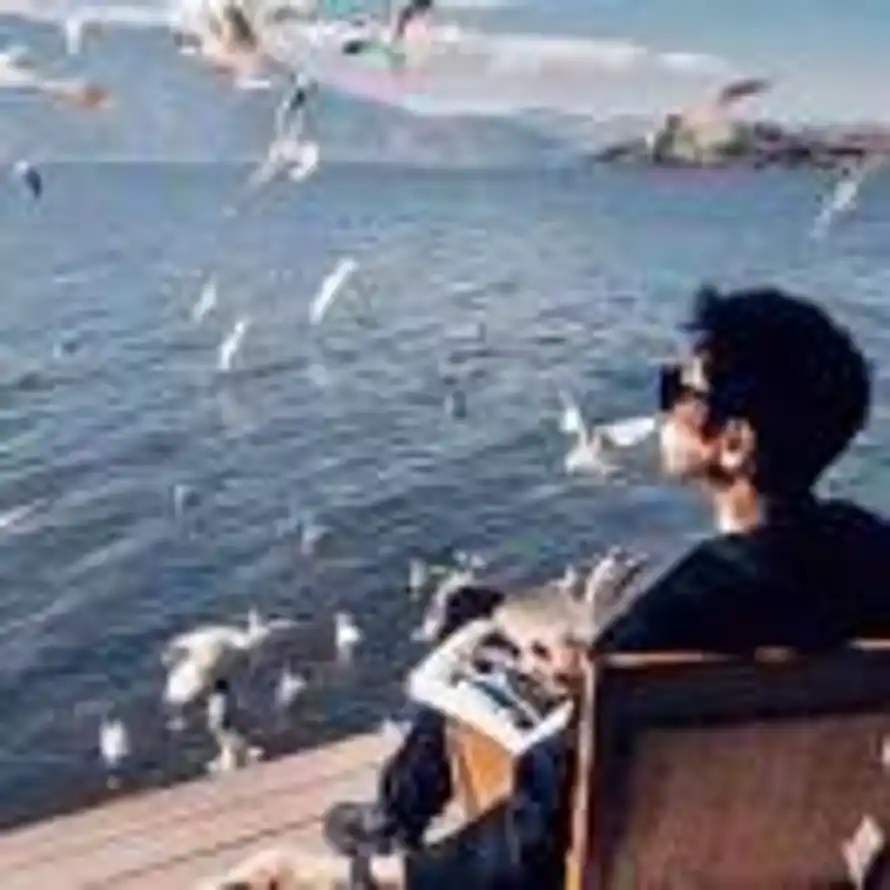 废柴的李的头像