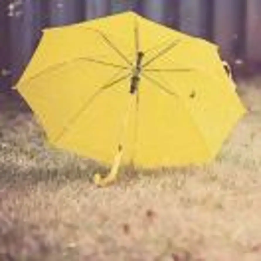 无中生有的头像