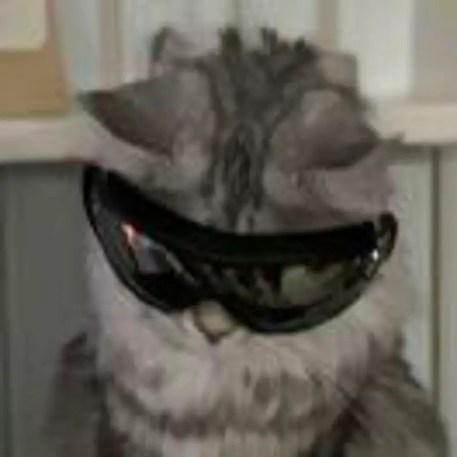 可燃乌龙茶的头像