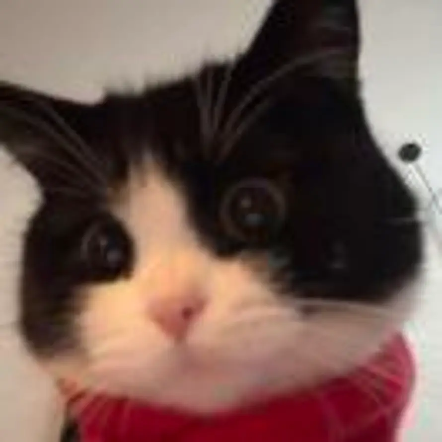 鱼川鱼川的头像