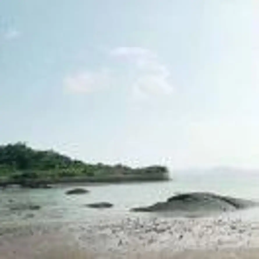 牛壮：轮胎机油批发的头像