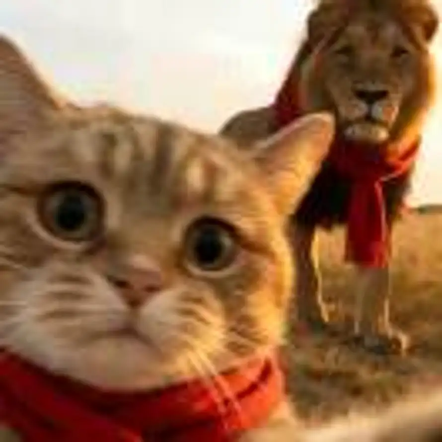 鱿鱼丝一种天赋的头像