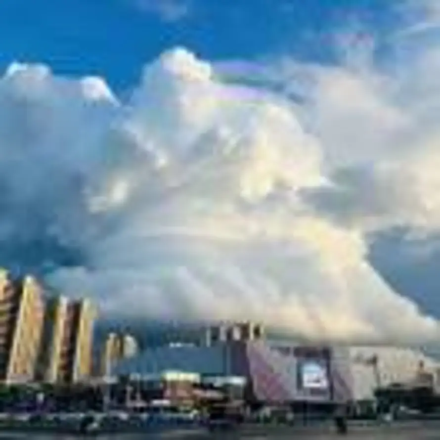 财源滚滚的头像