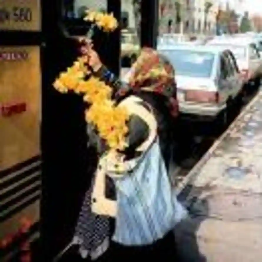 除了胃口什么都没有的头像