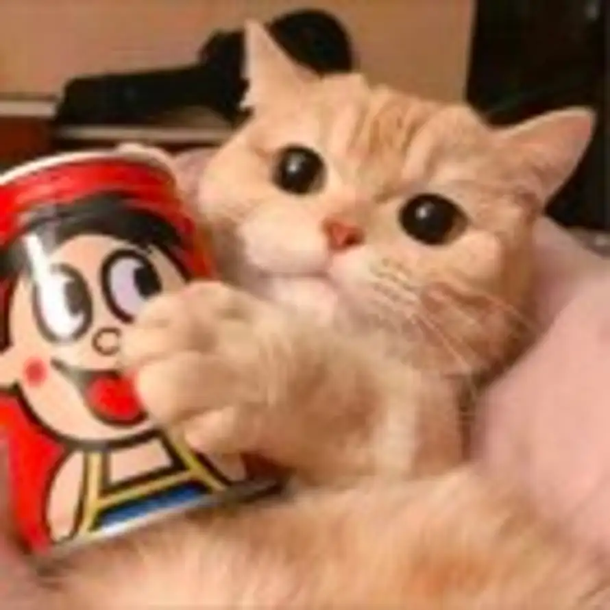 用户Steven Chen的头像