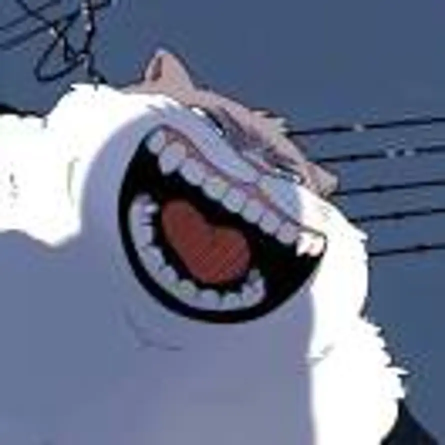 图莫勒吐的头像