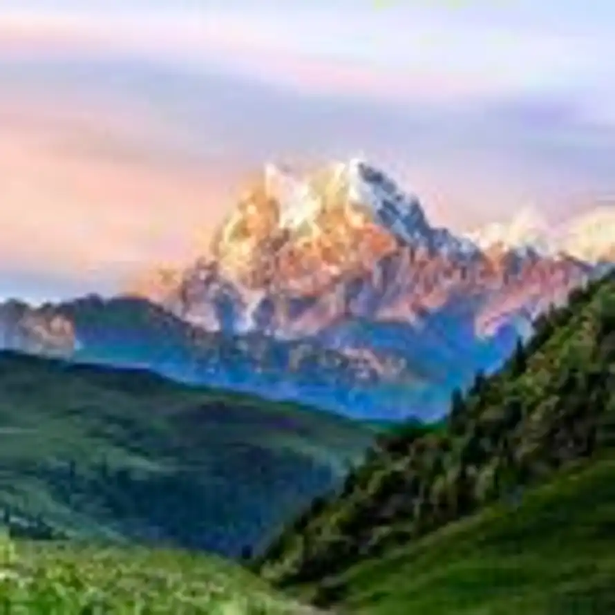 壹宅装饰-陈金鹏的头像