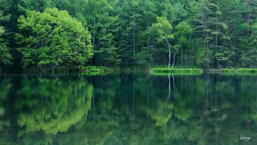 4k倒影壁纸 - 水 - 宁静 - 户外「哲风壁纸」