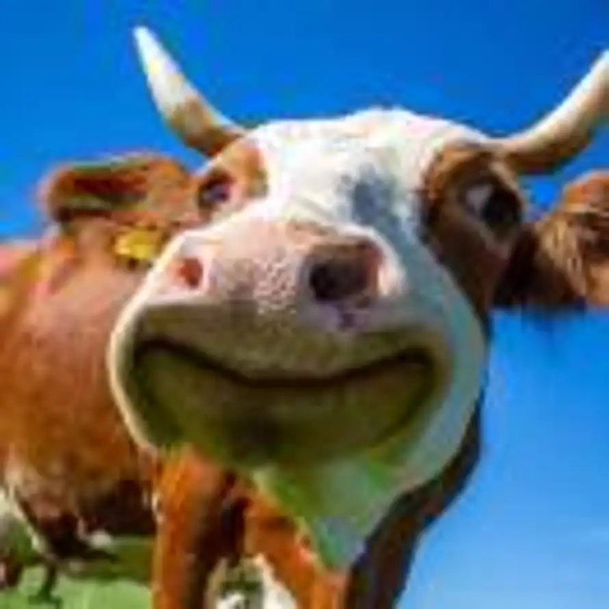 诗酒趁年华的头像