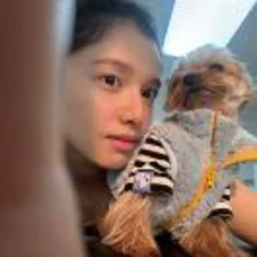 睡觉大王的头像