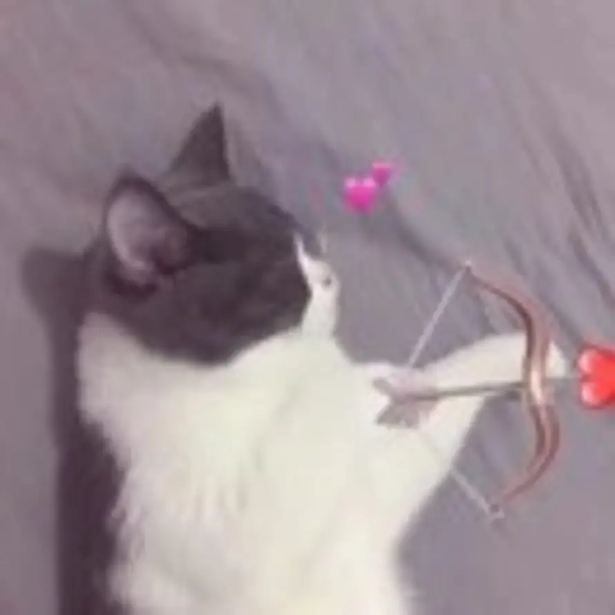 鮑鱇鱇🌽🍿的头像