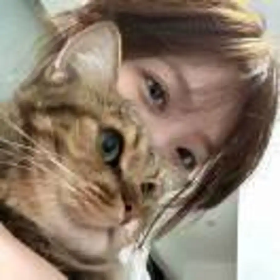 仓樱拍子的头像