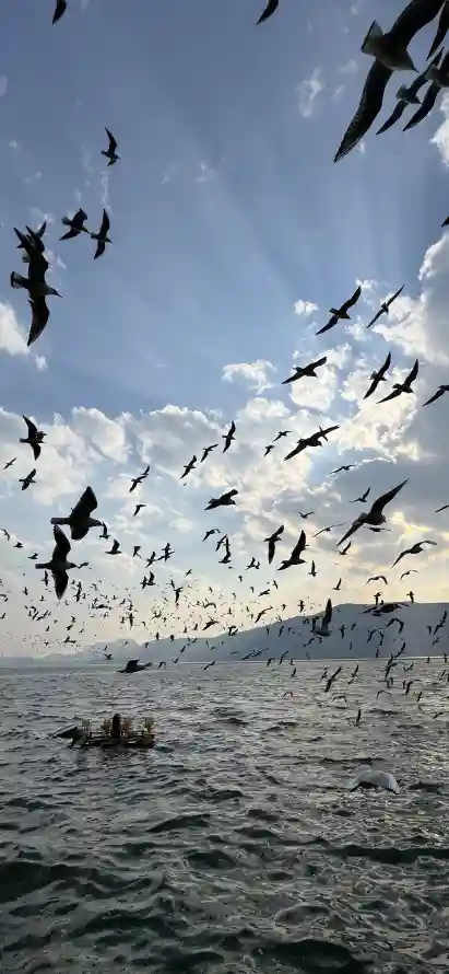 4k大海壁纸 - 天空 - 波光 - 海洋「哲风壁纸」