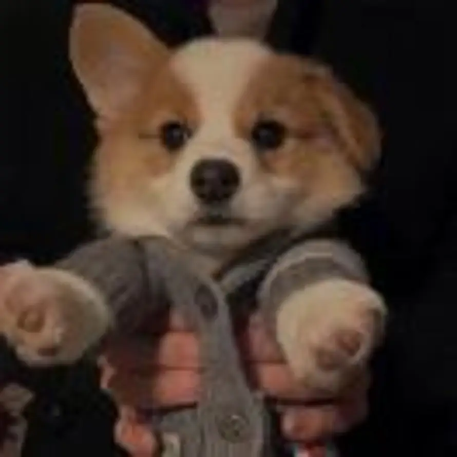 以为人生只有青春与爱的头像