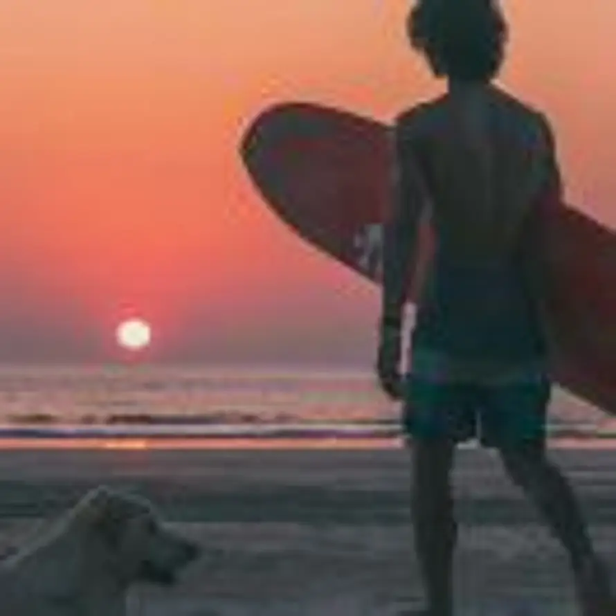 明天几点起的头像