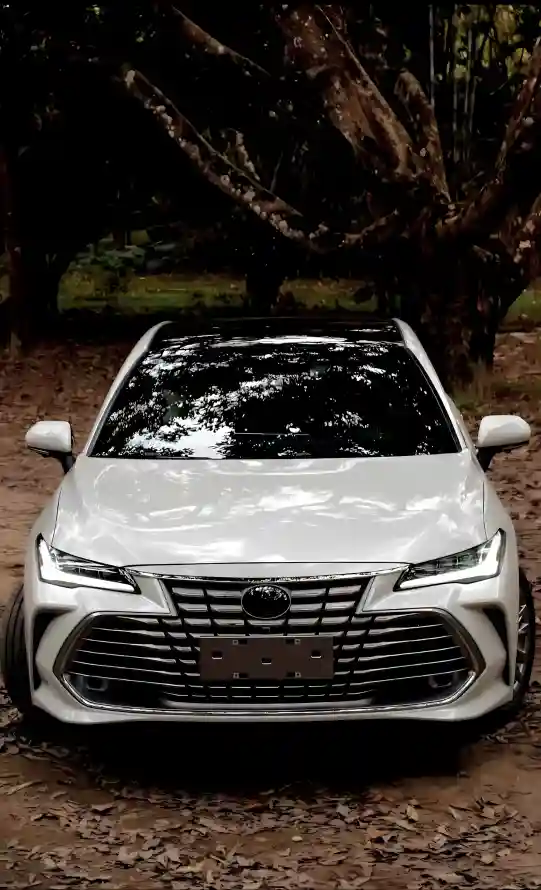 4k白龙壁纸 - 轿车 - 泥土路 - 丰田汽车「哲风壁纸」