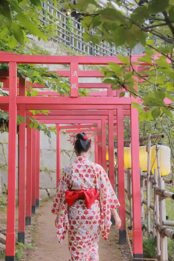 4k写真壁纸 - 和服 - 和风 - 绿植「哲风壁纸」