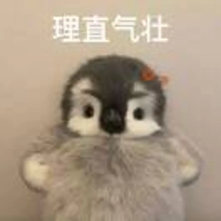 用户Shane的头像