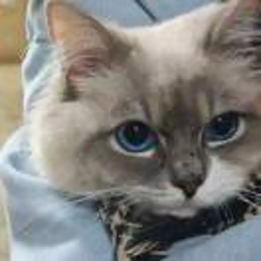 我还是得当一个科学家的头像