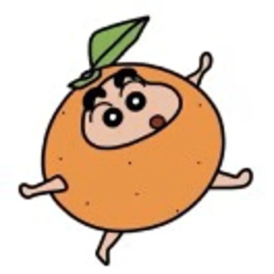 🍊🍊的头像