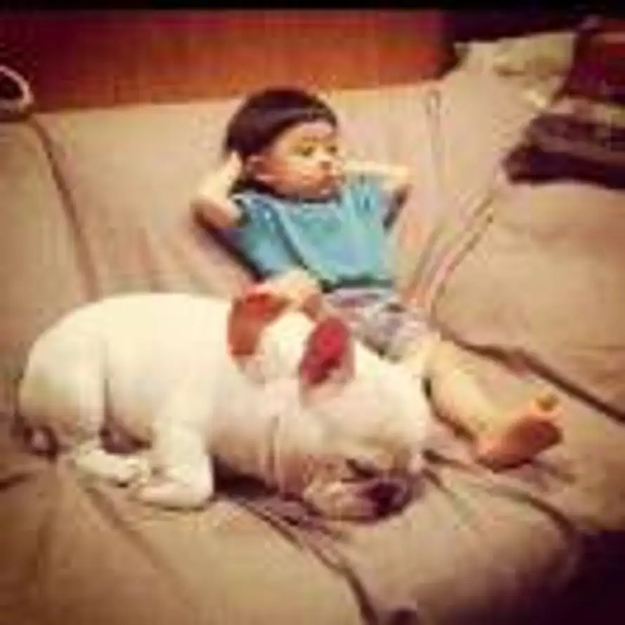 对方正在输入...的头像