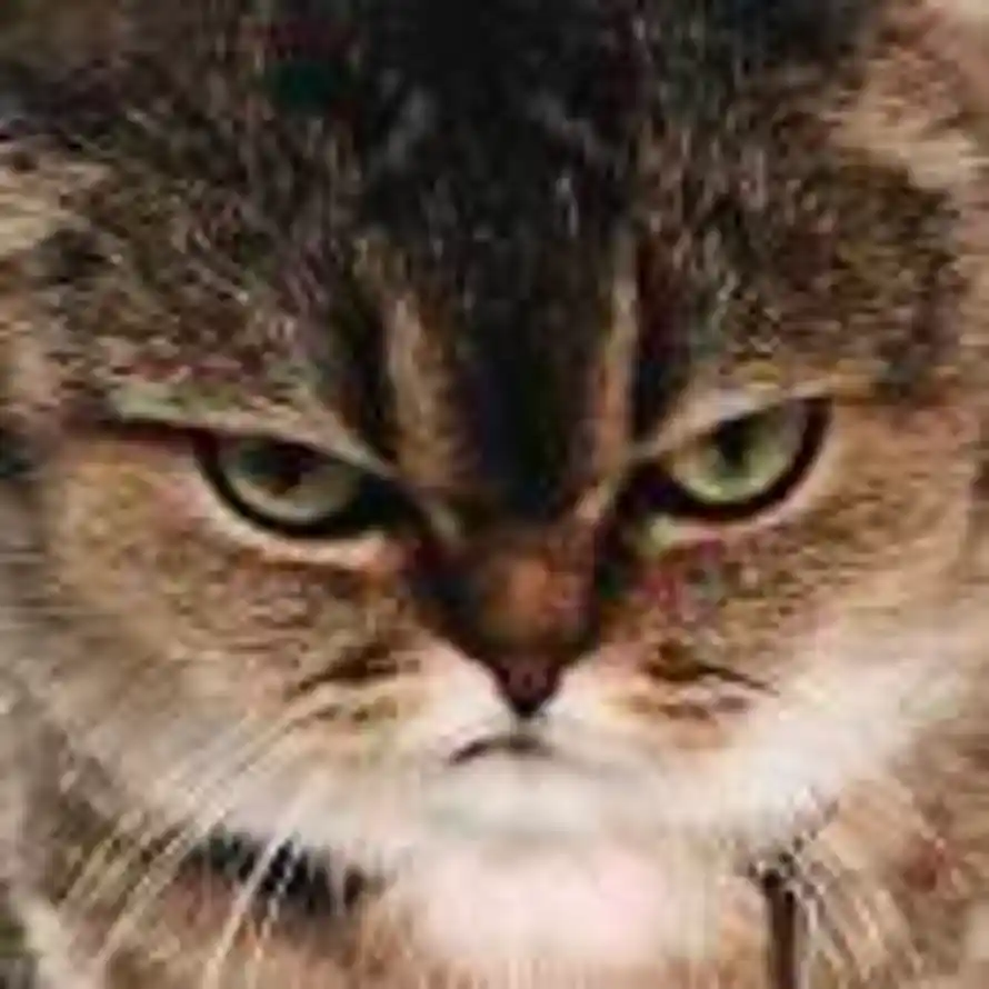 余额不足的头像