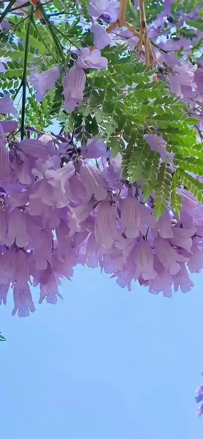 4k壁纸壁纸 - 天空 - 户外 - 手机「哲风壁纸」