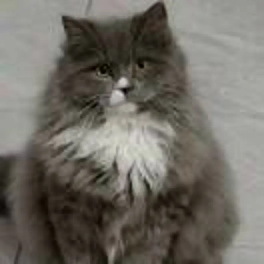 多喝热水_的头像