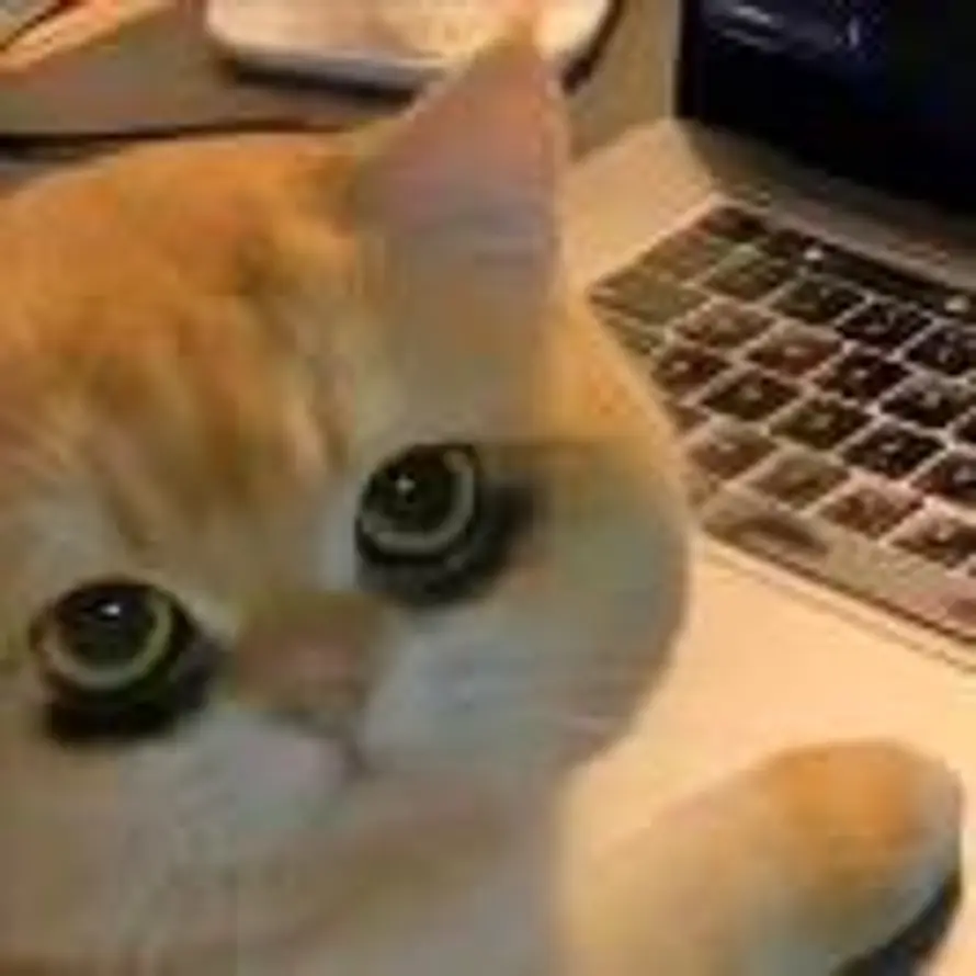 ㅤ໌的头像