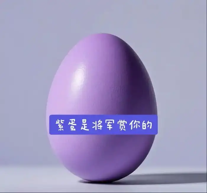 用户紫蛋的头像