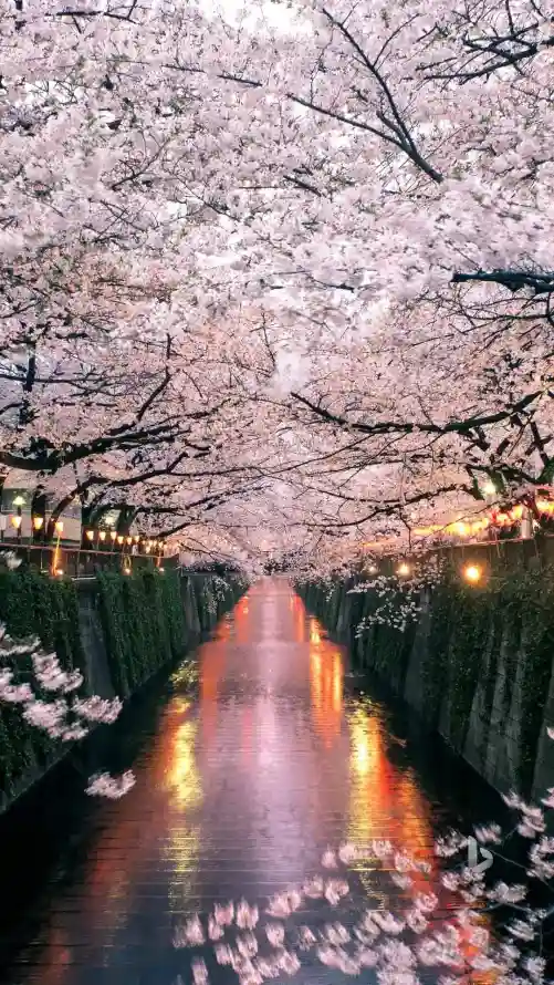 4k倒影壁纸 - 壁纸 - 夜晚 - 夜景「哲风壁纸」